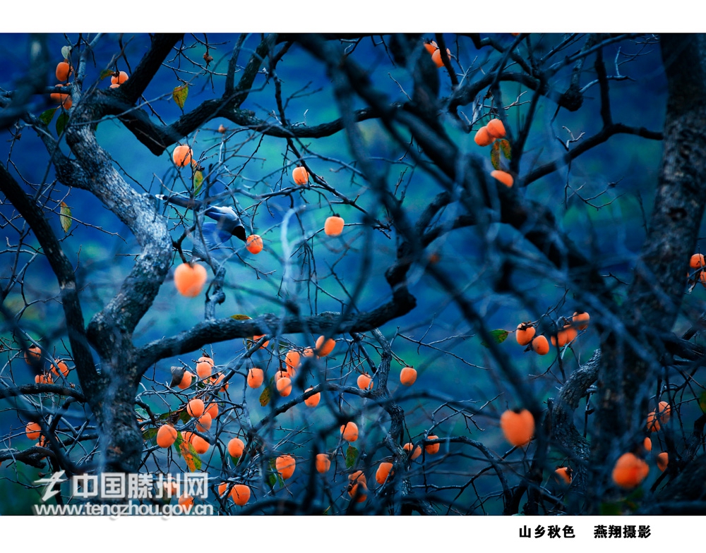 燕翔攝影作品  電話13561196611 (11).jpg